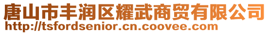 唐山市丰润区耀武商贸有限公司