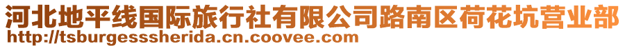 河北地平線國(guó)際旅行社有限公司路南區(qū)荷花坑營(yíng)業(yè)部