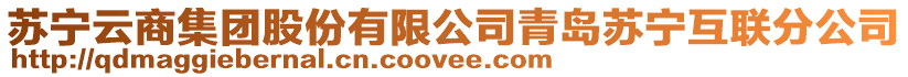 蘇寧云商集團(tuán)股份有限公司青島蘇寧互聯(lián)分公司