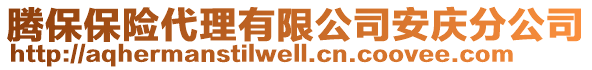 騰保保險代理有限公司安慶分公司