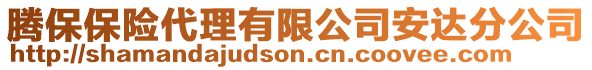 騰保保險代理有限公司安達分公司