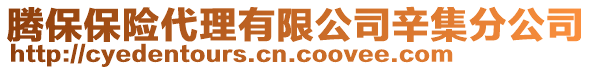 騰保保險(xiǎn)代理有限公司辛集分公司