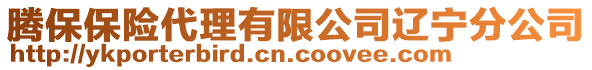 騰保保險代理有限公司遼寧分公司
