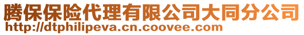 騰保保險代理有限公司大同分公司