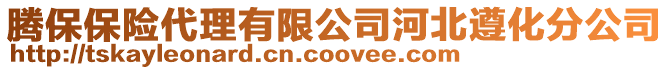 騰保保險(xiǎn)代理有限公司河北遵化分公司