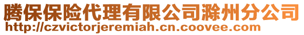 騰保保險代理有限公司滁州分公司