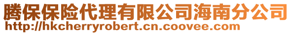 騰保保險代理有限公司海南分公司