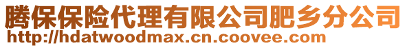 騰保保險代理有限公司肥鄉(xiāng)分公司