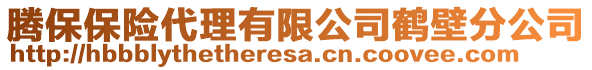 騰保保險代理有限公司鶴壁分公司