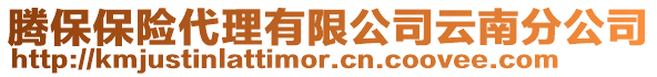 騰保保險(xiǎn)代理有限公司云南分公司