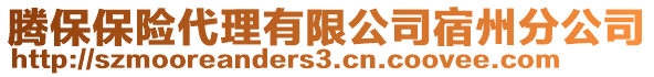 騰保保險代理有限公司宿州分公司