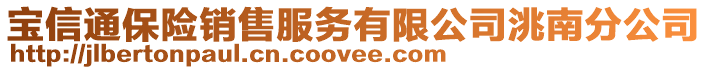 寶信通保險銷售服務有限公司洮南分公司