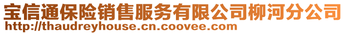 寶信通保險銷售服務有限公司柳河分公司