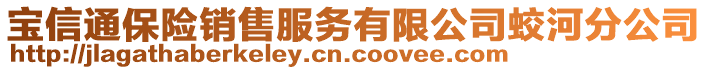 寶信通保險銷售服務有限公司蛟河分公司