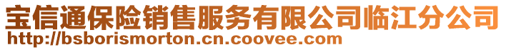 宝信通保险销售服务有限公司临江分公司