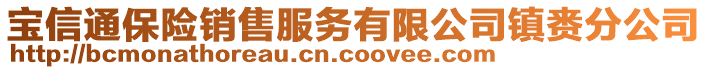 寶信通保險(xiǎn)銷(xiāo)售服務(wù)有限公司鎮(zhèn)賚分公司