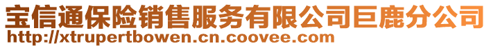 寶信通保險(xiǎn)銷售服務(wù)有限公司巨鹿分公司