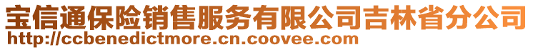 寶信通保險銷售服務有限公司吉林省分公司