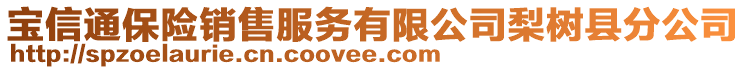 寶信通保險銷售服務(wù)有限公司梨樹縣分公司