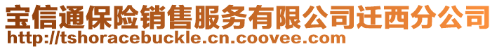 寶信通保險銷售服務(wù)有限公司遷西分公司