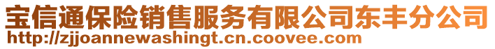 寶信通保險銷售服務(wù)有限公司東豐分公司