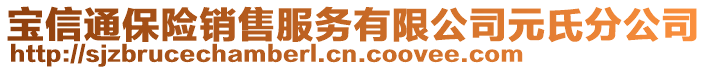 寶信通保險銷售服務(wù)有限公司元氏分公司