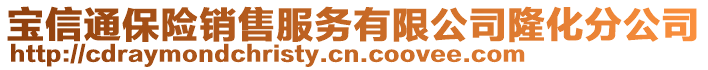 寶信通保險銷售服務(wù)有限公司隆化分公司