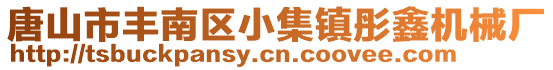 唐山市豐南區(qū)小集鎮(zhèn)彤鑫機(jī)械廠