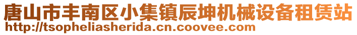 唐山市豐南區(qū)小集鎮(zhèn)辰坤機(jī)械設(shè)備租賃站