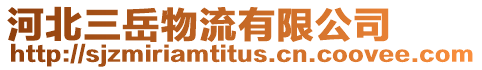 河北三岳物流有限公司