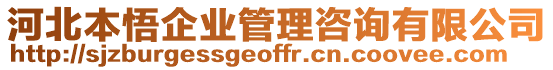 河北本悟企業(yè)管理咨詢有限公司