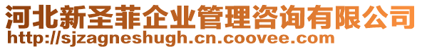 河北新圣菲企業(yè)管理咨詢有限公司