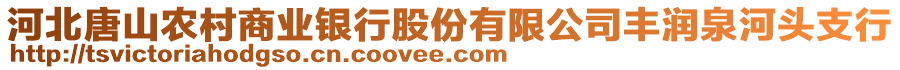 河北唐山農(nóng)村商業(yè)銀行股份有限公司豐潤(rùn)泉河頭支行