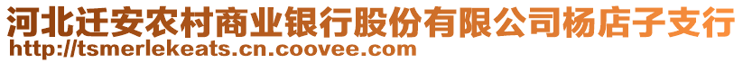 河北遷安農(nóng)村商業(yè)銀行股份有限公司楊店子支行