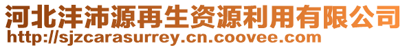 河北灃沛源再生資源利用有限公司