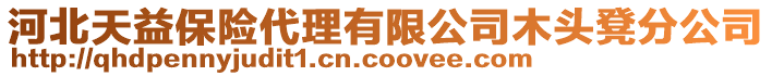 河北天益保險(xiǎn)代理有限公司木頭凳分公司