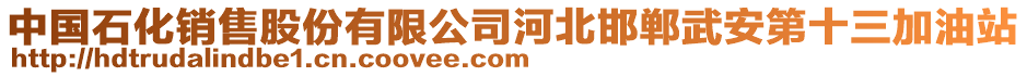 中國石化銷售股份有限公司河北邯鄲武安第十三加油站