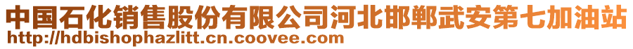 中國石化銷售股份有限公司河北邯鄲武安第七加油站