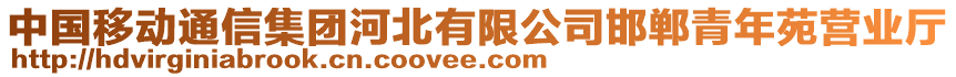 中國移動通信集團河北有限公司邯鄲青年苑營業廳