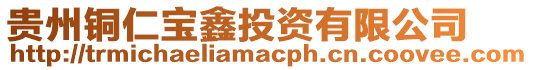 貴州銅仁寶鑫投資有限公司