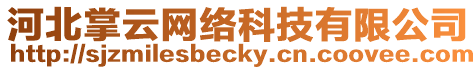 河北掌云網絡科技有限公司