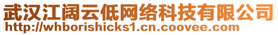 武漢江闊云低網(wǎng)絡(luò)科技有限公司