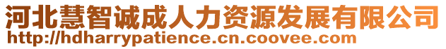 河北慧智誠成人力資源發(fā)展有限公司