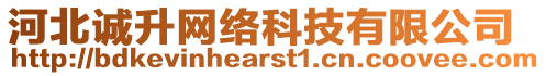 河北誠(chéng)升網(wǎng)絡(luò)科技有限公司