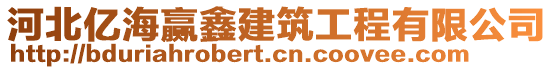 河北億海贏鑫建筑工程有限公司