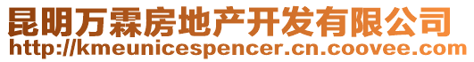 昆明萬霖房地產(chǎn)開發(fā)有限公司