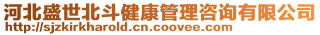 河北盛世北斗健康管理咨詢(xún)有限公司