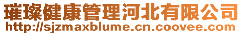 璀璨健康管理河北有限公司