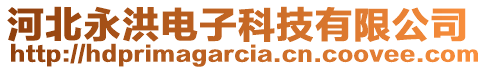 河北永洪電子科技有限公司