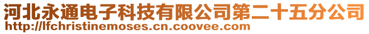 河北永通電子科技有限公司第二十五分公司